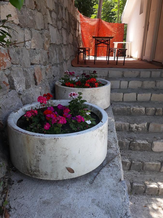 Apartmani Viza Risan Bagian luar foto